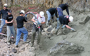 Applying Shotcrete to hill side