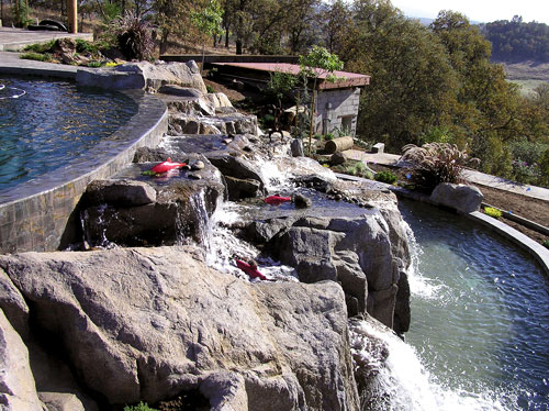 Shotcrete faux fish ladder