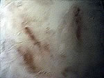 Applying Color Hardener as an Accent